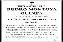 Pedro Montoya Guinea